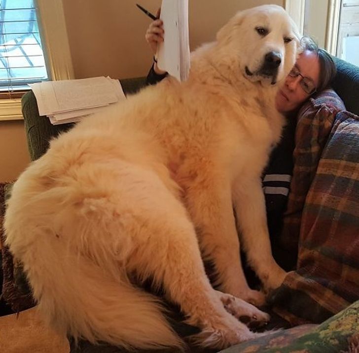 7a1c285255b9ee4d6738f5d6e1