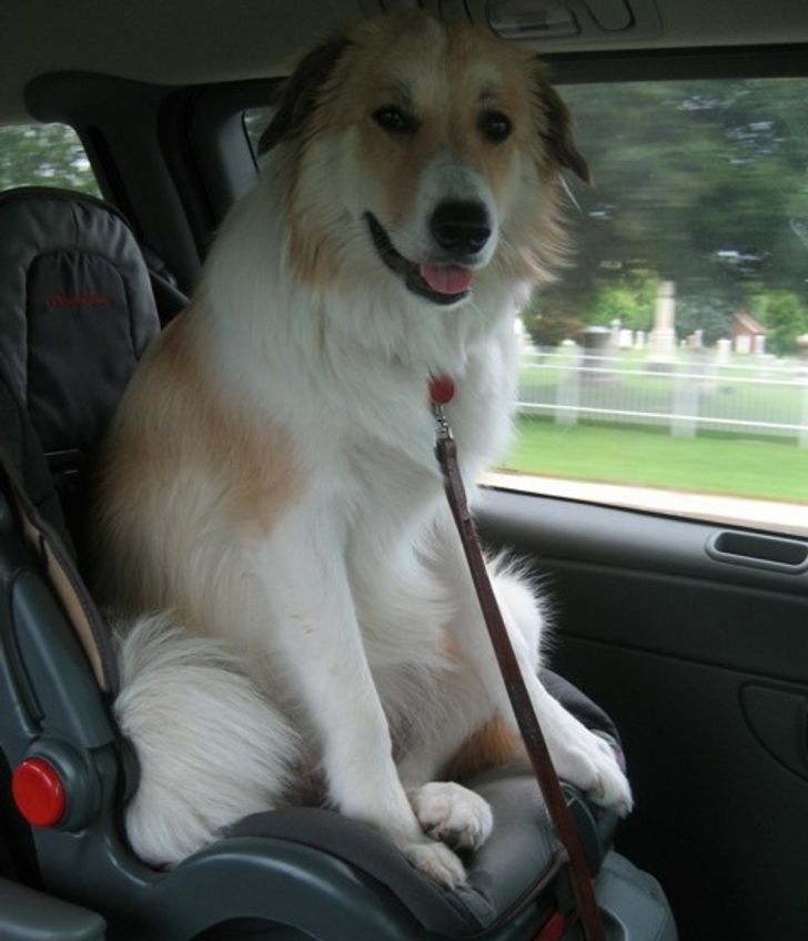 7a1e125bb4b3e071bafc2c6bc5