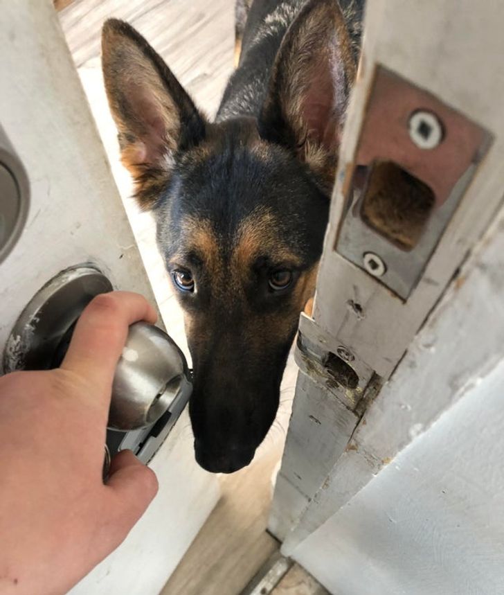 7a2798595b99833ba8f1aac111