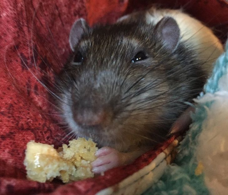 7a288553f6b4d52d669a17a5d8