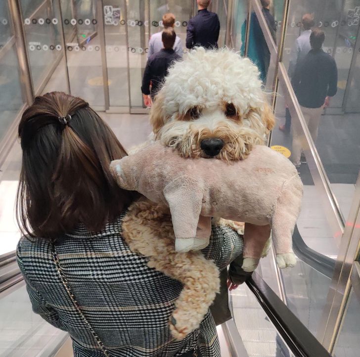 7a3a04546a81197ac5a949e0b9