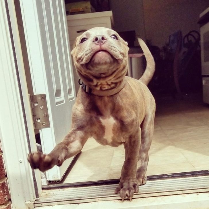 7a42bf50e789fbf747f9981b49