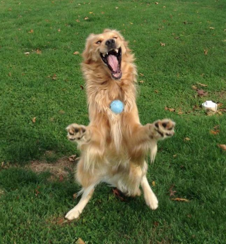 7a46805127952afa8006d0c946