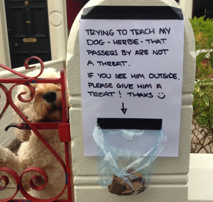 7a46cc581aae282195af264217