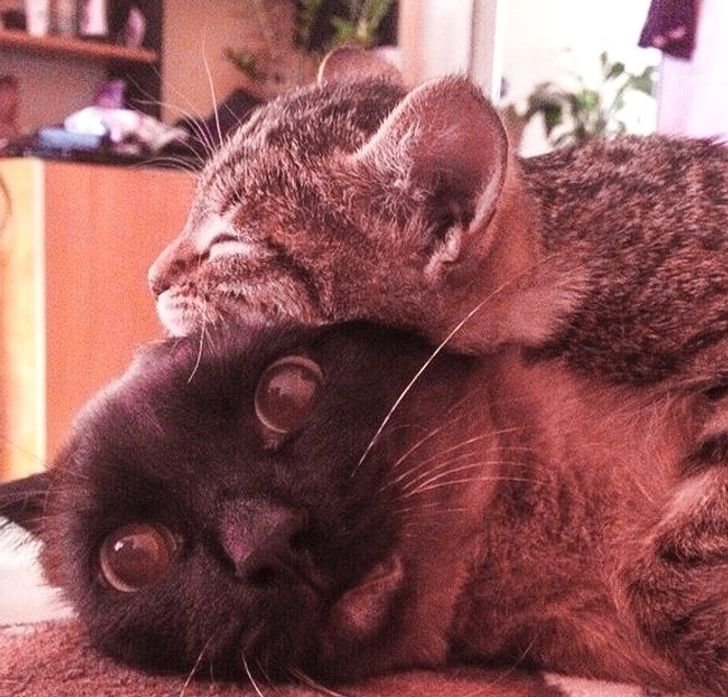 7a4a545a2388ae30c7a843a41f