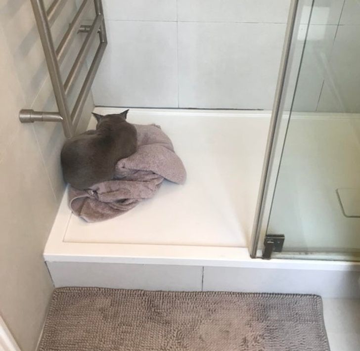 7a4b07594a88b2587253822f63