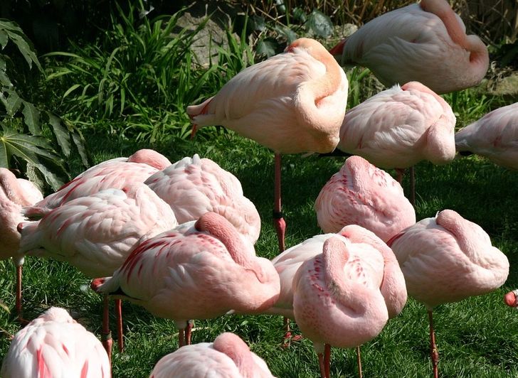 7a57dd5932a3fc4f89bbdc7747