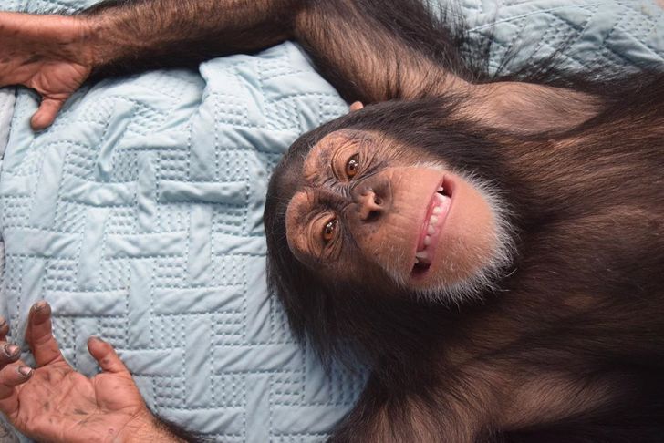 7a5ac4553aadbe4214402adc1c