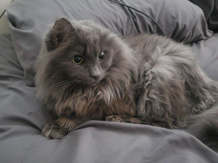 7a61a955cd922704b77f4aef4c