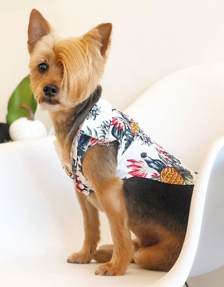 7a637551d591e1732bceeb8a69