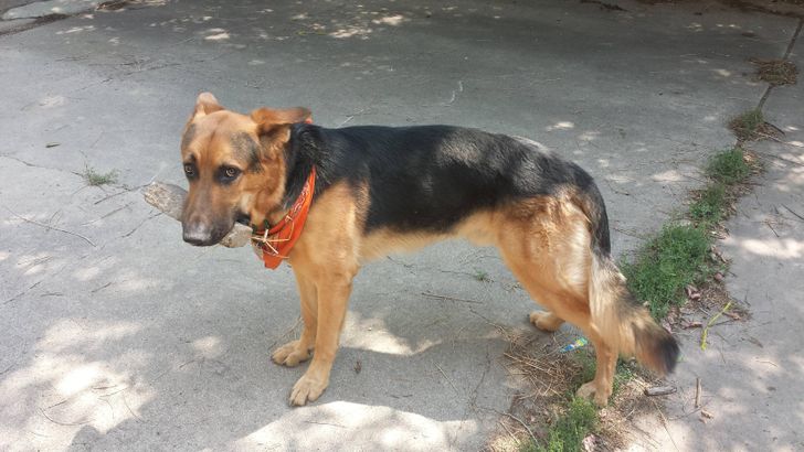 7a65aa5e10a76d93964807699c