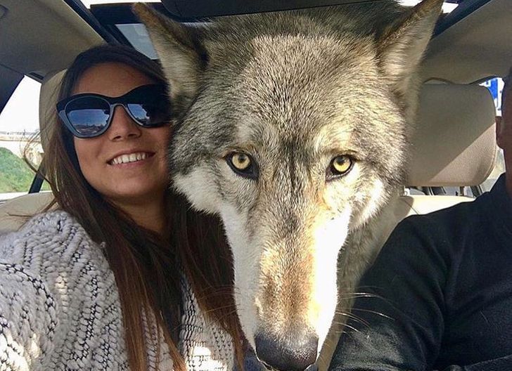 7a6ae55eaa8bde782112179cdb