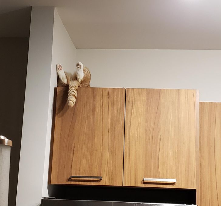 7a6f5857c0b90aed02e8f5e764