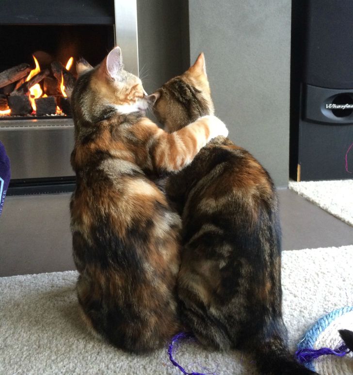 7a709b5998bfafe2edd12c7fea