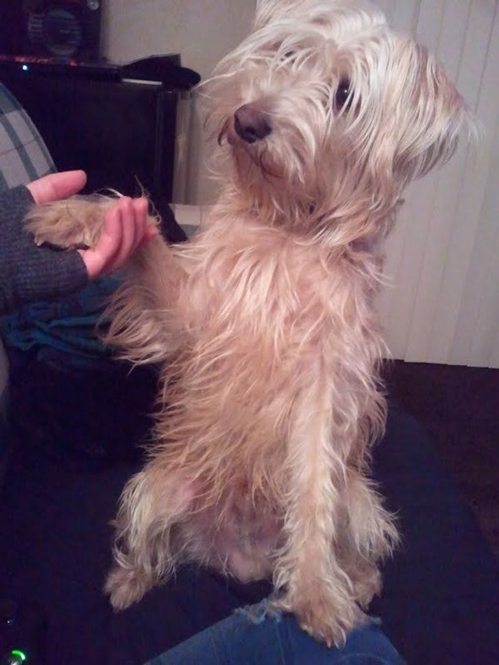 7a7d1a52fcb40c5af19f4226f1