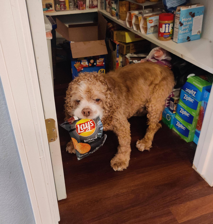 7a7e8b5a828cd6a9bf7521fe93