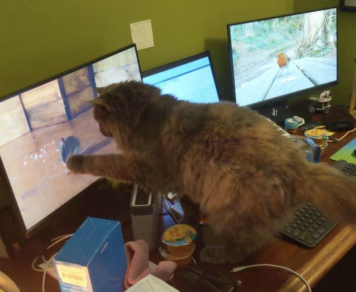 7a7fd35dfea385771e9b2bda2a