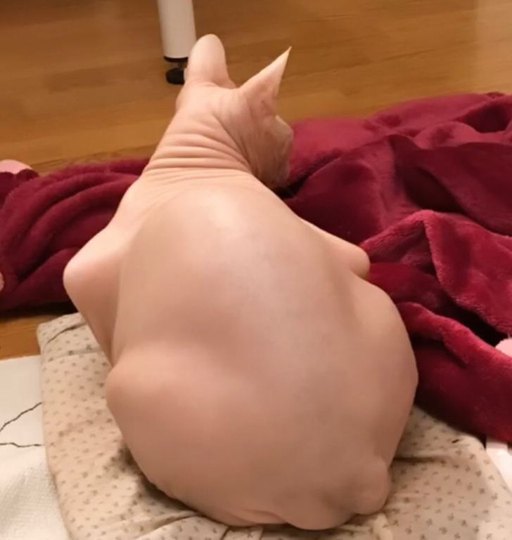 7a803c5f4abacb9a0f1d7386df