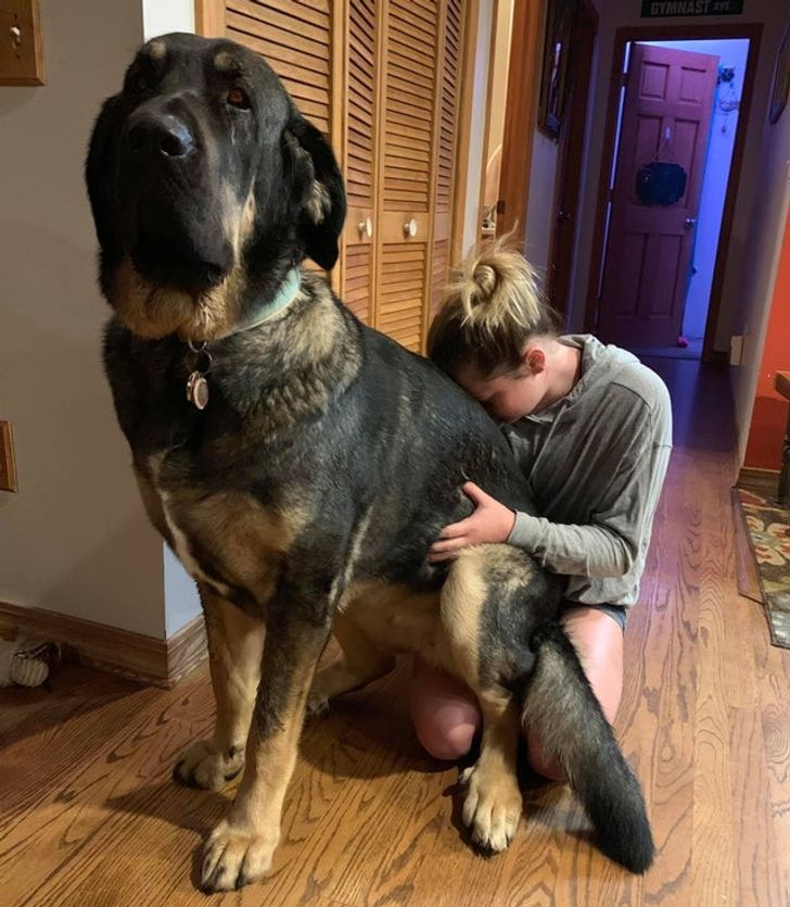 7a85a75c8bb25864d0af535c6c