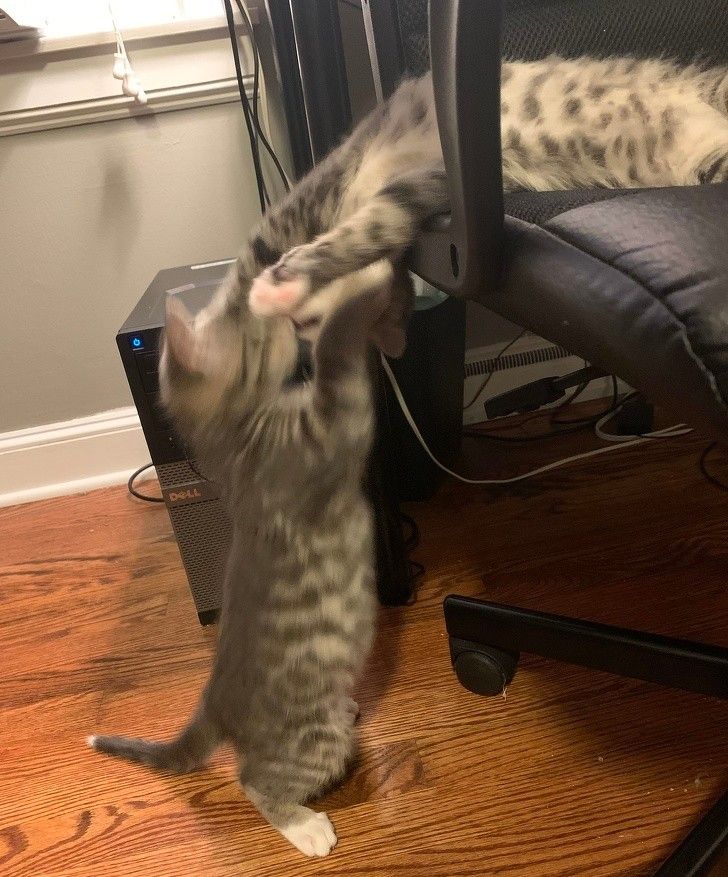 7a91b750a0befdf97b7b277cae