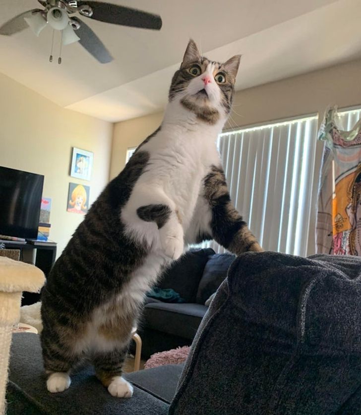 7a94e95c4a8d90382603688fbe