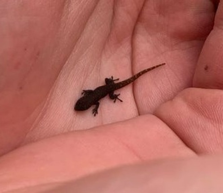 7a96565935998ecaa35cfb93d4