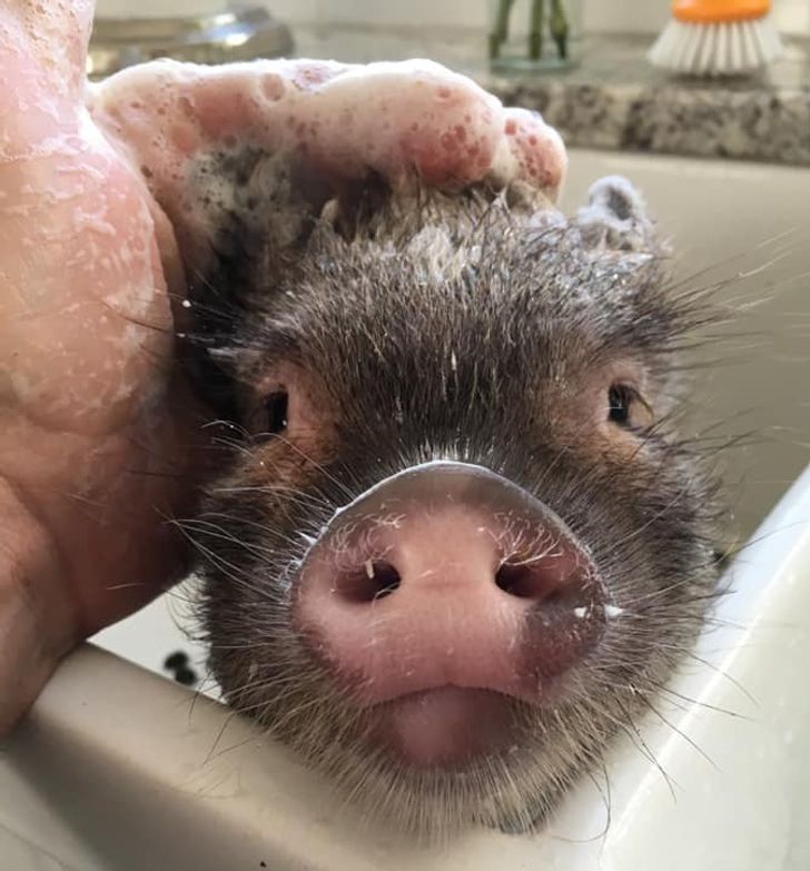 7aa20e57099e7661b99b77e66c