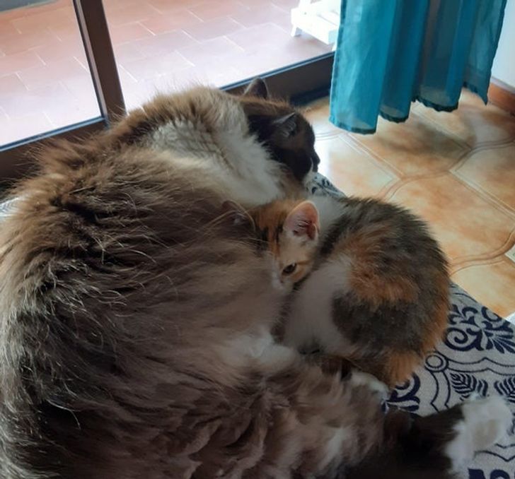 7aa5da5768ad344526b2ae04bc