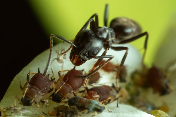 7aa95a57b5bc9c26270d5b47db