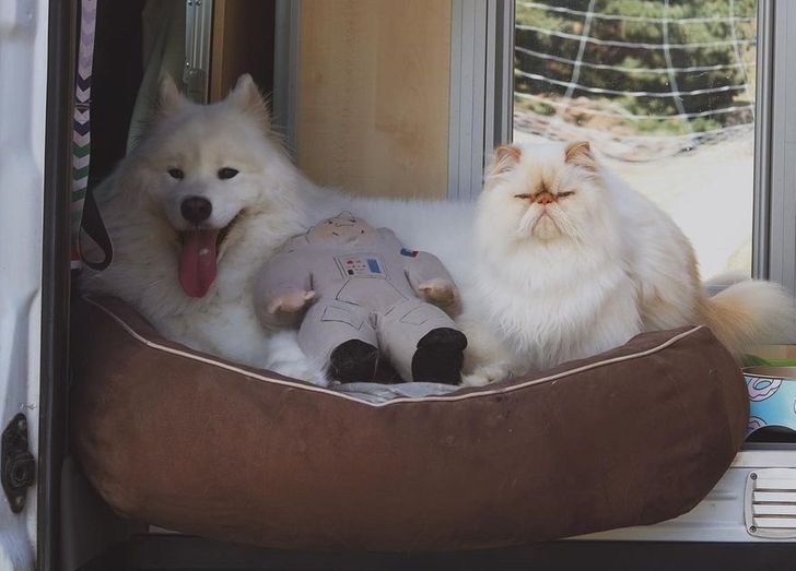 7ab0e15cf39d6d79393053748a