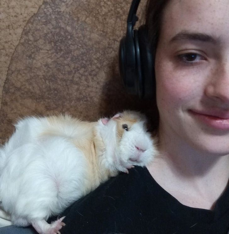 7ab491510b884feed2313ee46f