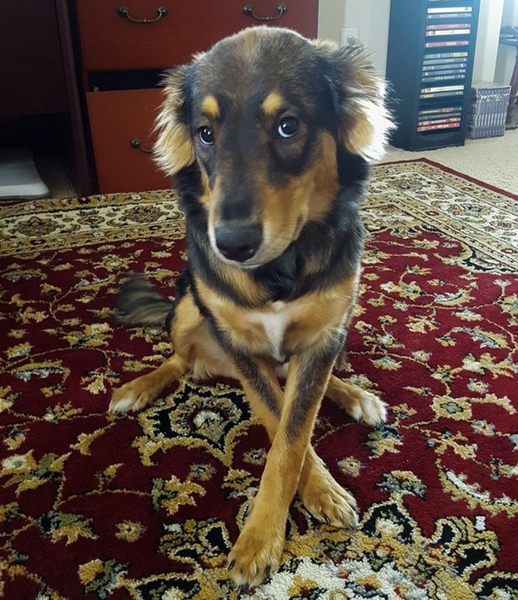 7ab86d545a9ad65011b1013c2a