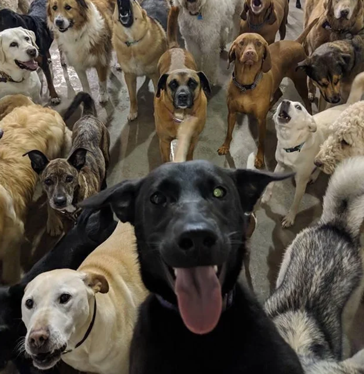 7abb6e5b5195cc45209cc21116