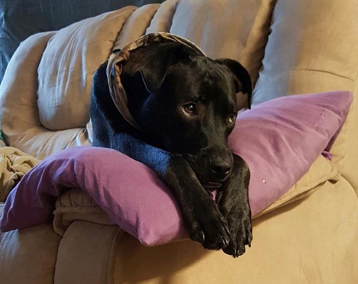 7abd00585ba3ded2af25422285