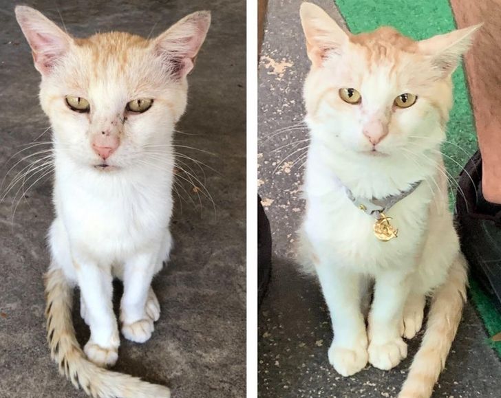 7ac6925efca3820dec6d3eee5d