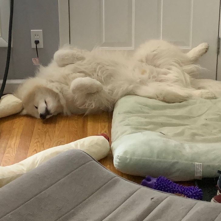 7accaa581a9742d238a23164d4