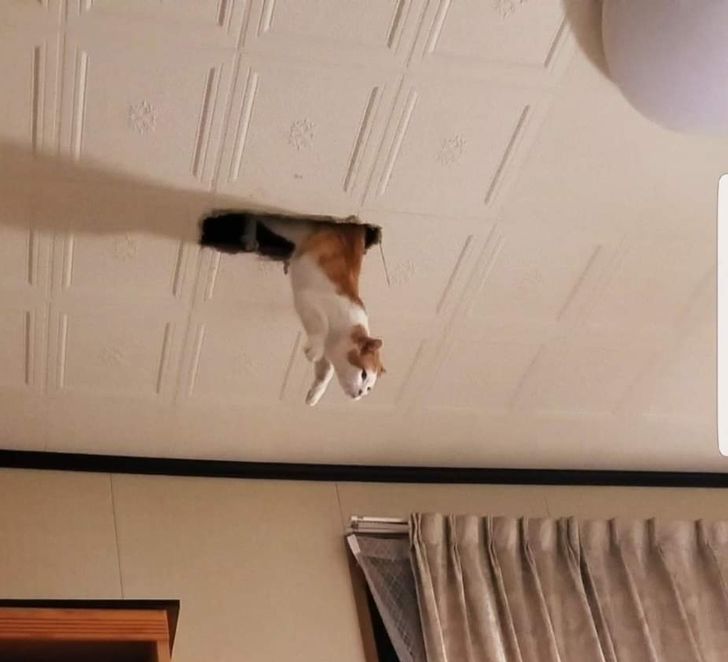 7accce56958f9b8129a95d8991