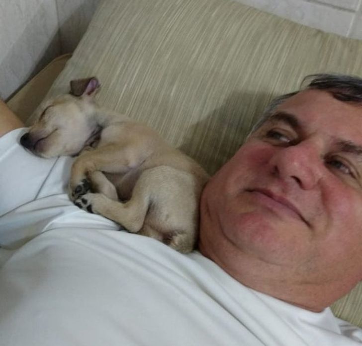 7ad4335ac0abf33abbb7dff8af