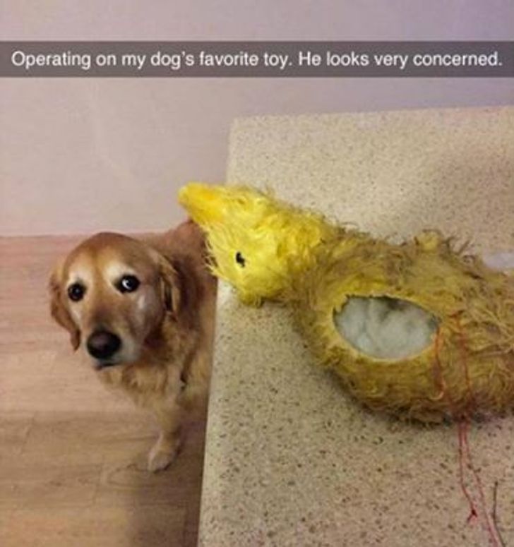 7ad4dd55429cf61e54aabe3ba1