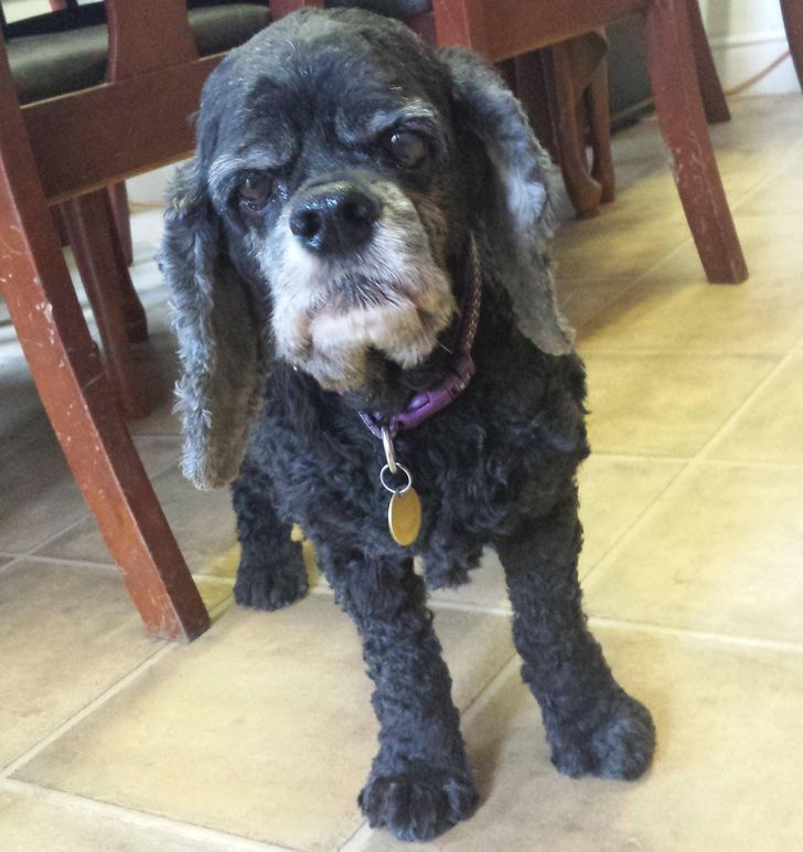 7adcc155ec8c9c3ce2350356fa