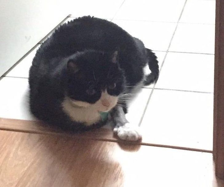 7ae40858bd810855ef4672bcd6