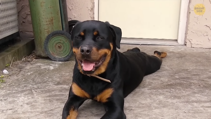 7aec6b5544bdb705124e842e6b