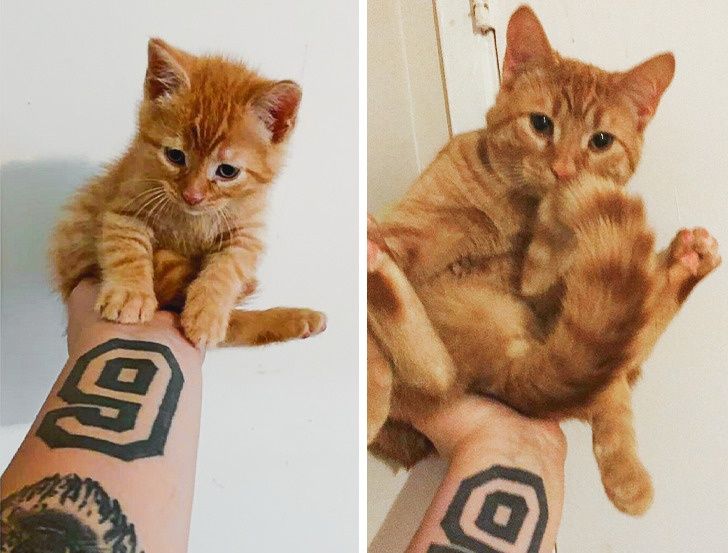 7aef705773aeb4a23a1f590288