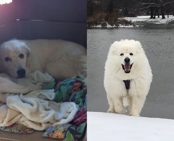 7b04515665a914bcc6a039e5b4