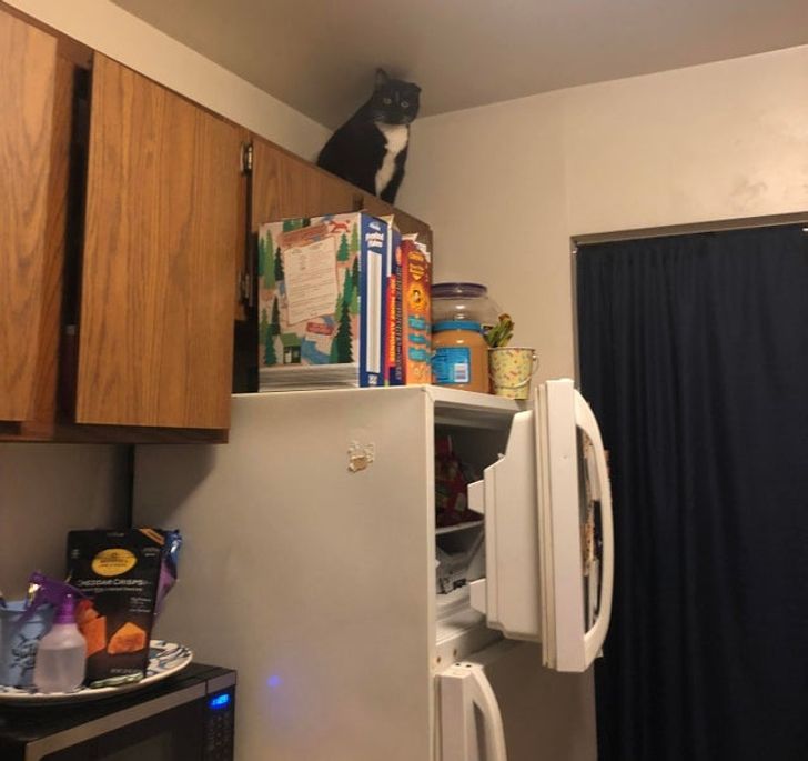 7b09cc5bc09985fc7f7a50ee22