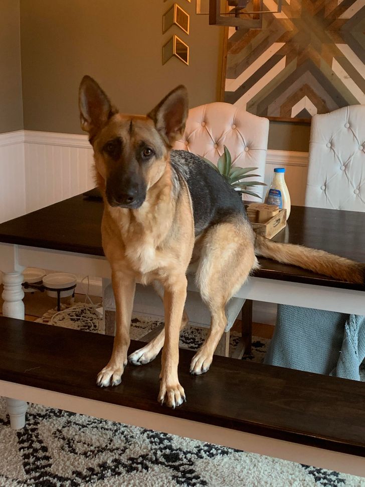 7b0f80502b8209de2b42ad131e