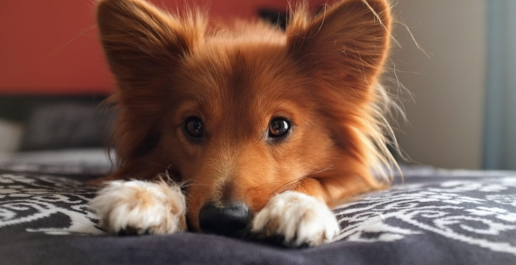 7b110b5ec9a4de2e345484b59a