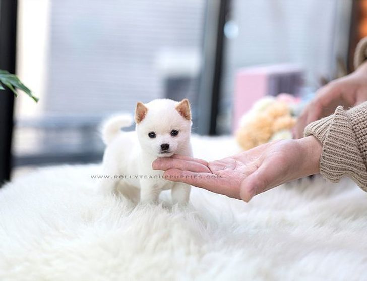 7b1533508880b0a5591ef803b0