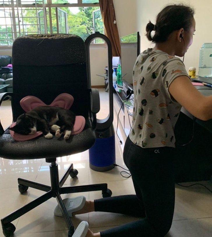 7b1c5e5fd5ac8b803978e54e2d