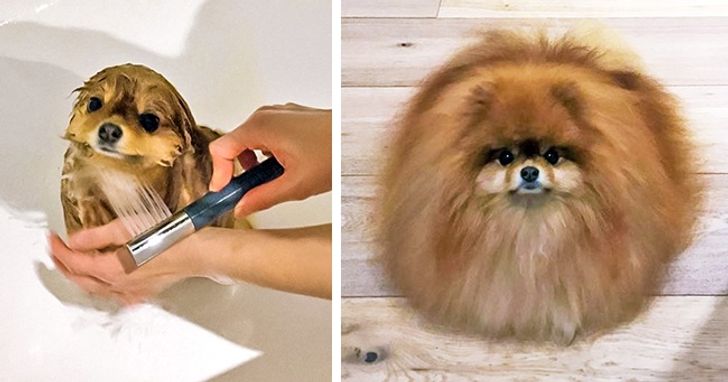 7b2cc6560c916352c1e5d5acff